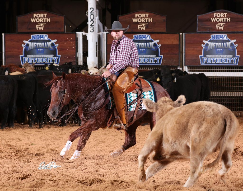 Thomasson Performance Horses, LLC  Thomasson, Johann