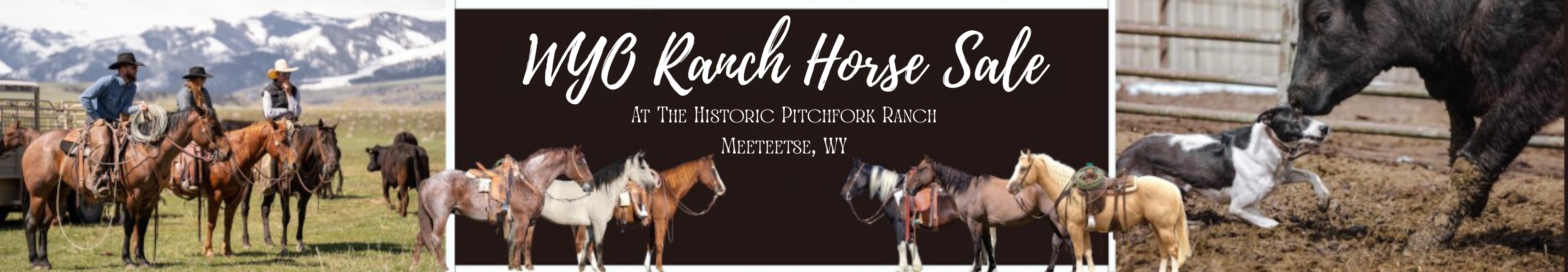 WY Ranch Horse Sale Banner